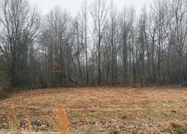 Property at 0 Bondurant Rd, Ripley, TN 38063
