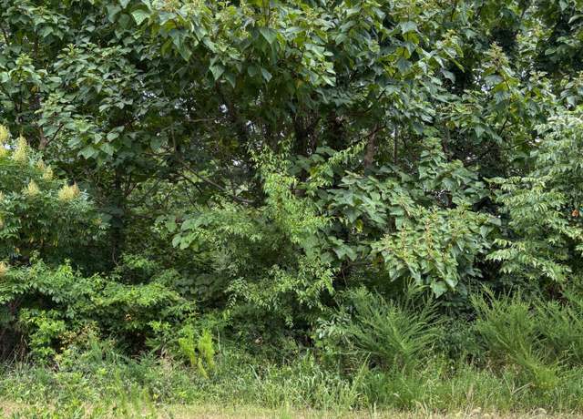 Property at 588 Marina Ridge Rd, Holladay, TN 38341