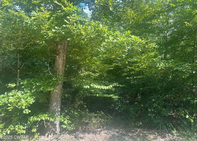 Property at 233 Mount View Estates Ln, Holladay, TN 38341