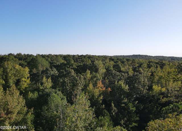 Property at 0 Mt Gilead Rd, Cedar Grove, TN 38321