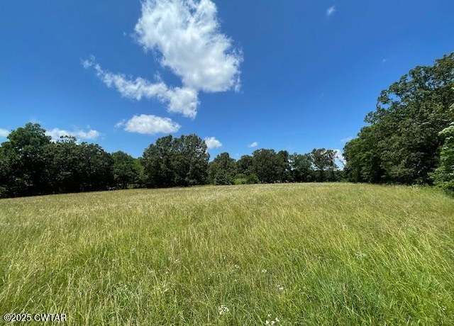 Property at 0 Mcbride Cemetery Rd, Sardis, TN 38371