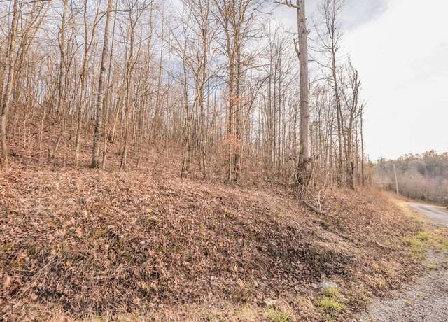 Photo of River Spring Rd, Parsons, TN 38363