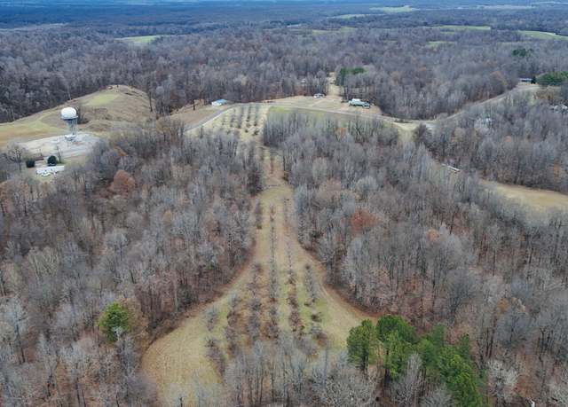 Property at 4211 Old Samburg Rd, Hornbeak, TN 38232