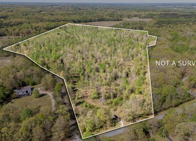 Property at 0 Barren Springs Rd, Hollow Rock, TN 38342