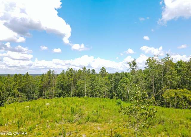 Property at Tract 1 Ray Miller Rd, Sugar Tree, TN 38380