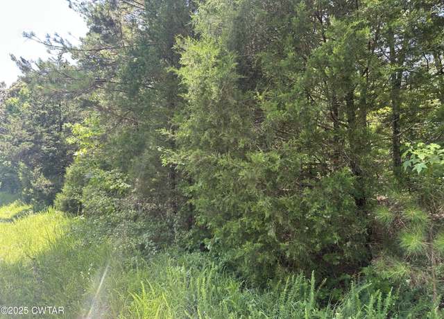 Property at 0 Fryes Point Rd, Luray, TN 38352