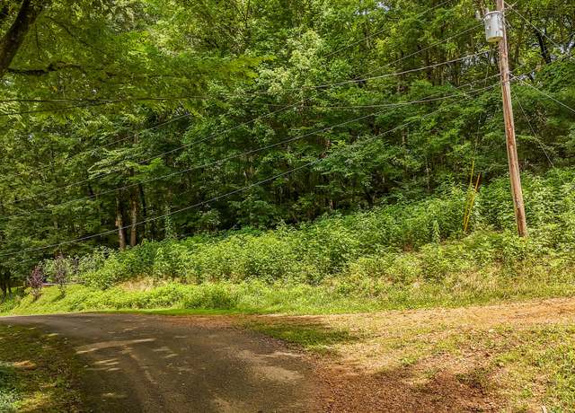 Property at Lot 35 Salt Ln, Savannah, TN 38372