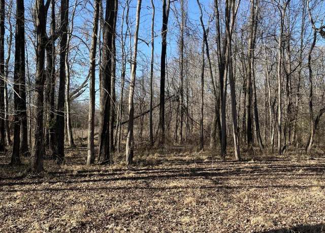 Property at 0 Sloan Rd Lots 3,4, & 5, Springville, TN 38256