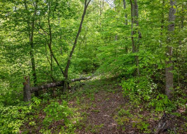 Property at 0 Cedar Hill Rd, Parsons, TN 38363