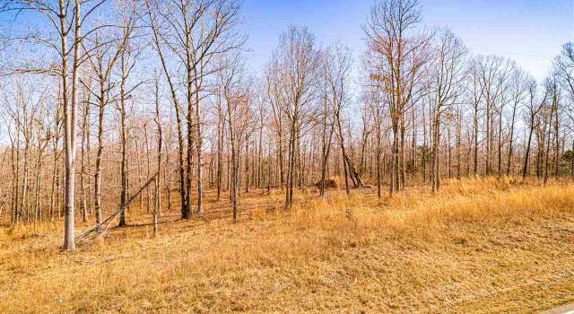 Photo of Lot 17 Brodies Landing Rd, Parsons, TN 38363