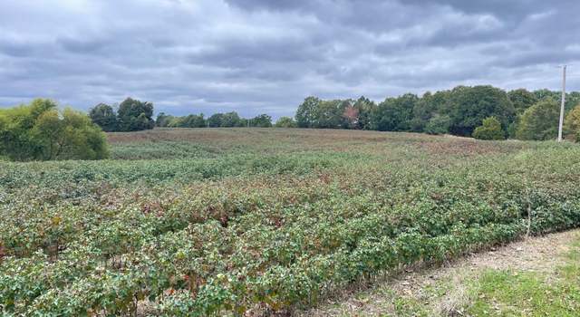 Photo of 2000 Hopewell Rd, Lavinia, TN 38348