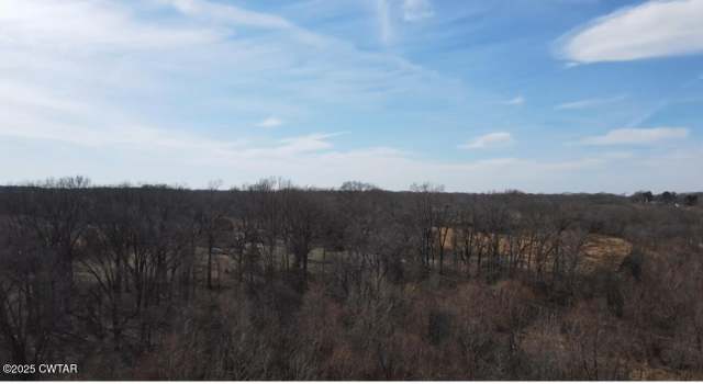 Photo of 0 Keeling Rd, Stanton, TN 38069