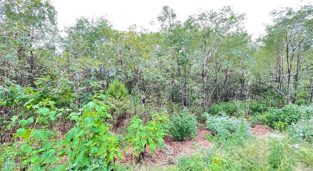 Photo of 819 New Era Bluff Rd, Linden, TN 37096