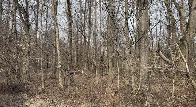 Photo of 6577 Minnick Elbridge Rd, Obion, TN 38240