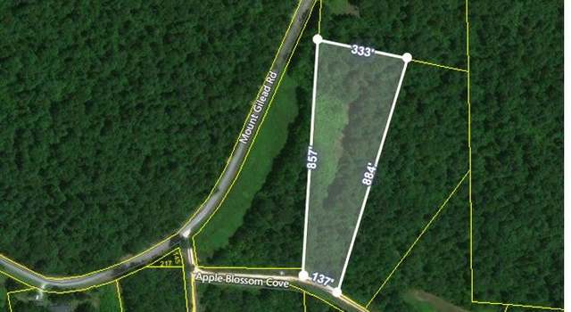 Photo of 0 Mt Gilead Rd, Cedar Grove, TN 38321