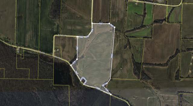 Photo of 00 Bluff Rd, Trenton, TN 38382