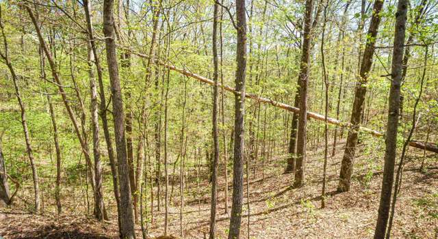 Photo of Lots 172 & 165 Fawn Ridge Rd, Parsons, TN 38363
