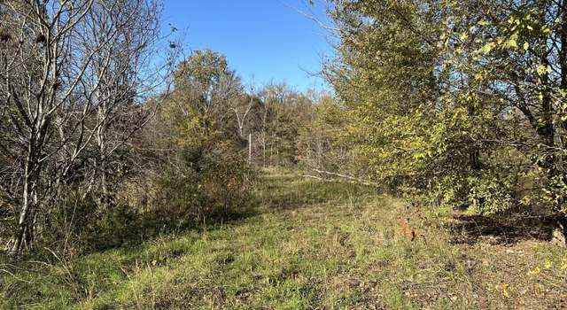 Photo of 00 Bud Eubank Rd, Stanton, TN 38069
