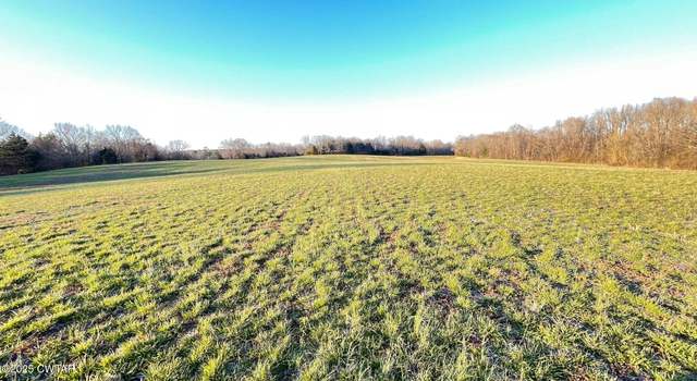 Photo of 00 Vildo Rd And Armour Ln, Whiteville, TN 38075