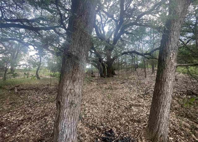 Property at TBD Buffalo Trl, Kingsland, TX 78639