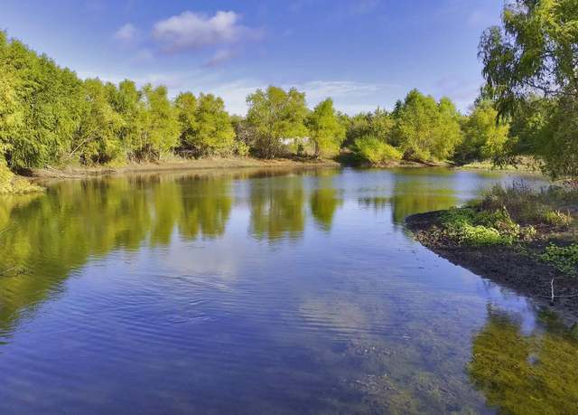 Property at 58 acres Cr 386, TX 76634