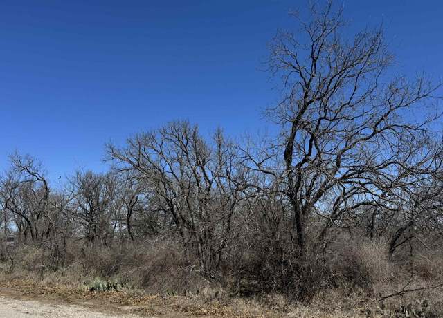 Property at Lot 219 Western Dr, Kingsland, TX 78639