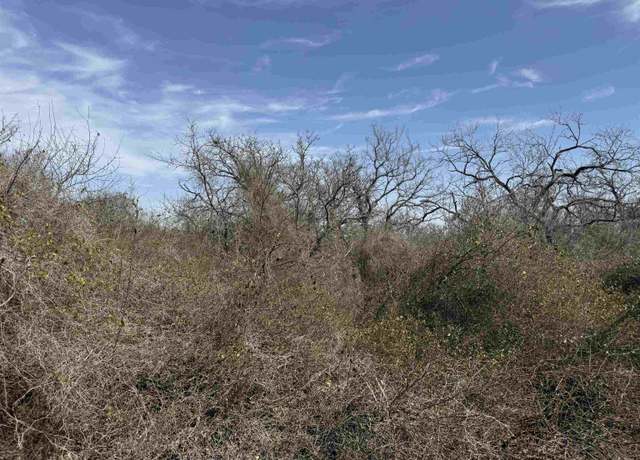 Property at Lot 295 Pinemont Dr, Kingsland, TX 78639