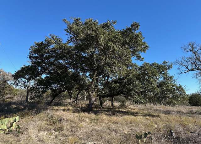 Property at 00 Fm 2657, Kempner, TX 76539