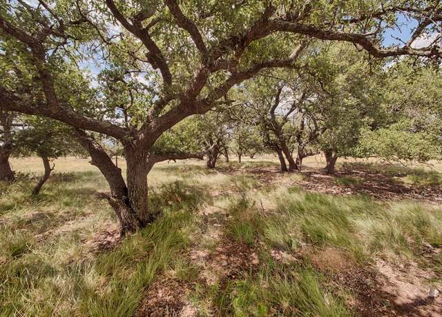 Property at Lot 124 Oryx Dr, Harper, TX 78631