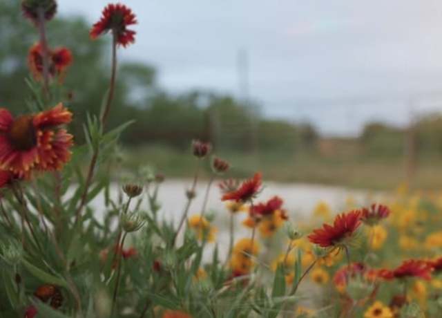 Property at 1722 W Farm to Market 574, Mullin, TX 76864