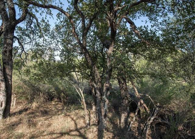 Property at LOT 219 Timber Valley Ln, Granite Shoals, TX 78654