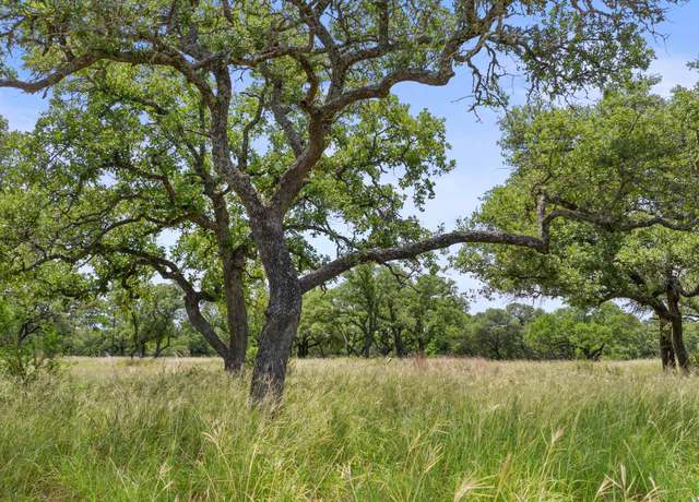 Property at 997 Sandy Oaks Rd, Johnson City, TX 78636