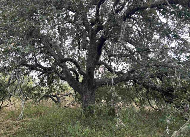 Property at 00 Firedance, Horseshoe Bay, TX 78657
