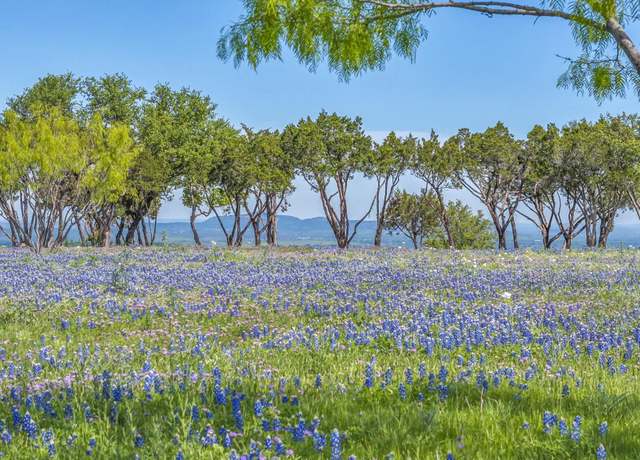 Property at 3531 Rr 3347 Rd, Round Mountain, TX 78663