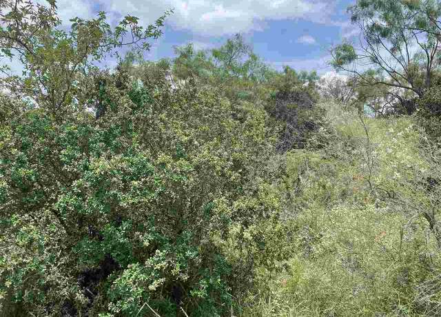 Property at Lots 112 & 113 Cedarhill Dr, Granite Shoals, TX 78654