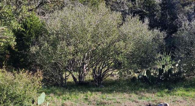 Photo of 27078 Mustang/hi Mesa, Horseshoe Bay, TX 78657