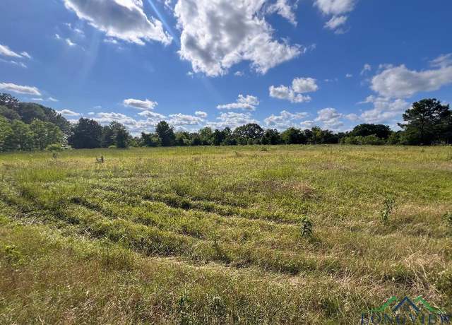 Property at 5.417 ac Fm 2276, Kilgore, TX 75662