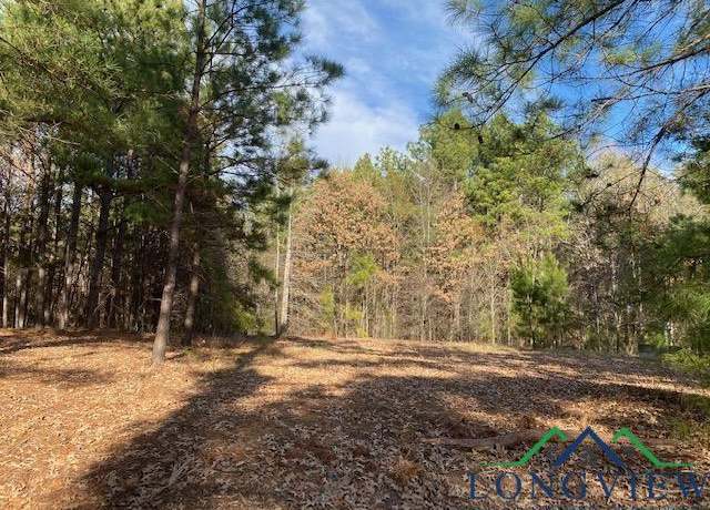 Property at TBD Brandy Rd, Diana, TX 75640