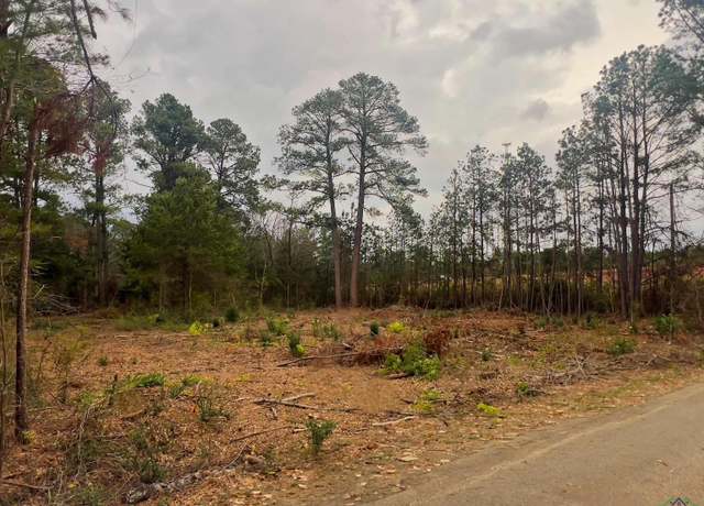 Property at 4005 Forest Hills Dr, Kilgore, TX 75662