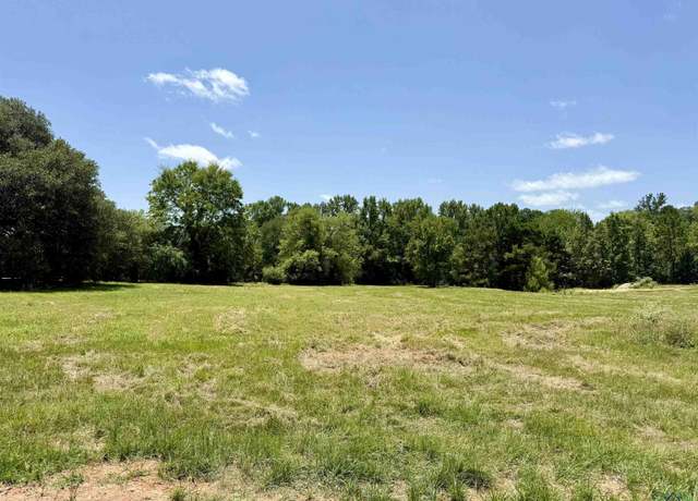Property at 160 Collins Creek Rd, Hallsville, TX 75650