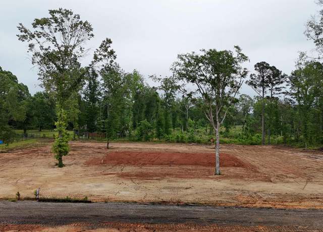 Property at Lot 2 Private Road 1111, Diana, TX 75640