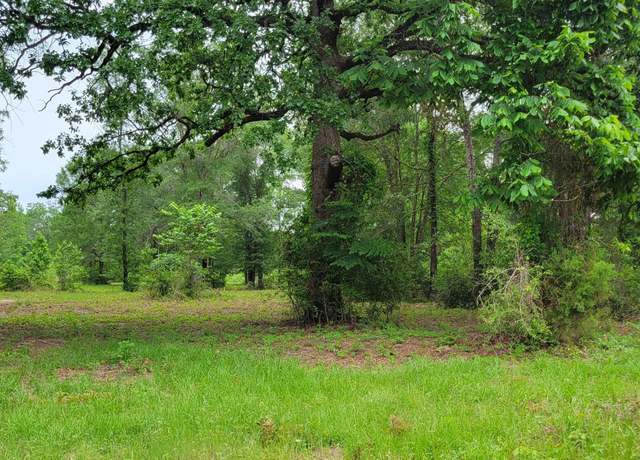 Property at Tract 3 Fm 2659, Hawkins, TX 75765