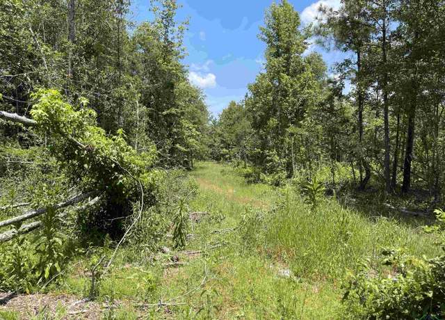 Property at TBD Hwy 49, Jefferson, TX 75657