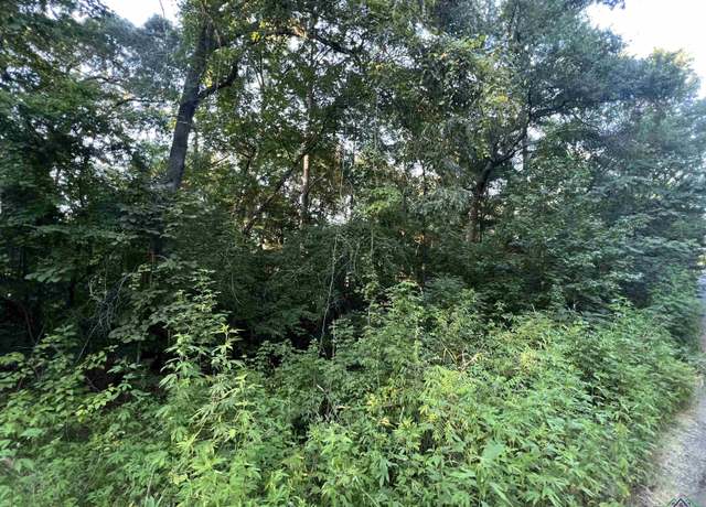 Property at TBD Cottonwood Trl, Gilmer, TX 75645