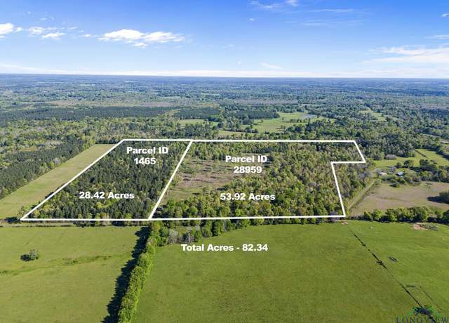 Property at TBD County Road 163, Long Branch, TX 75669