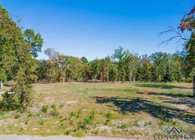 Property at 248 Angus Rd, Big Sandy, TX 75755
