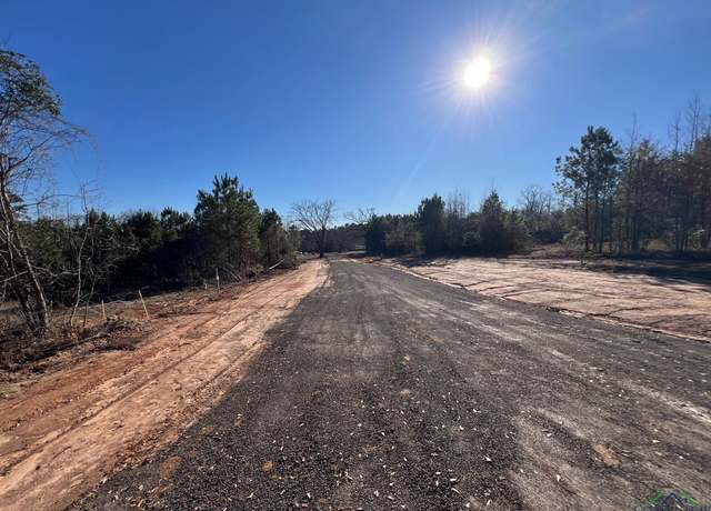 Property at Lot 2 Longmire, Hallsville, TX 75650