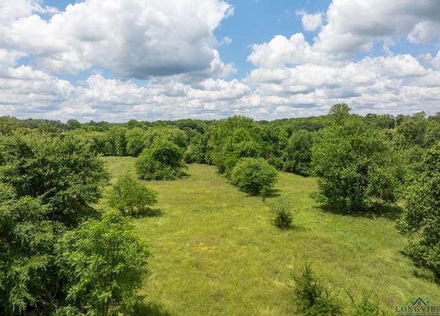 Property at TBD Fm 556, Gilmer, TX 75644
