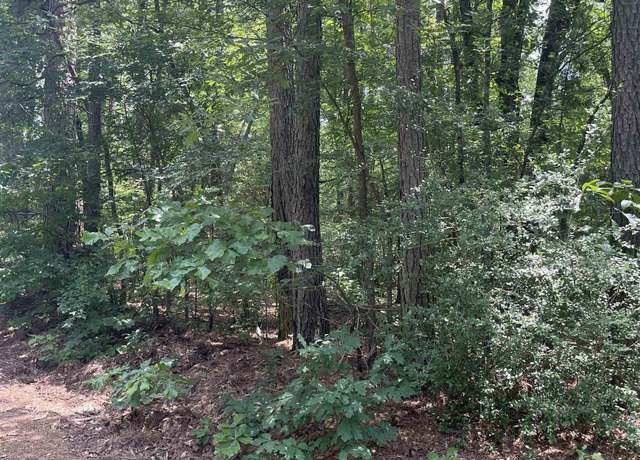 Property at TBD Geranium Rd, Ore City, TX 75683