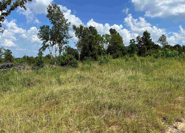 Property at 14.28 ac Tbd Cr 343, Henderson, TX 75652